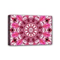 Twirling Pink, Abstract Candy Lace Jewels Mandala  Mini Canvas 6  x 4  (Framed) View1