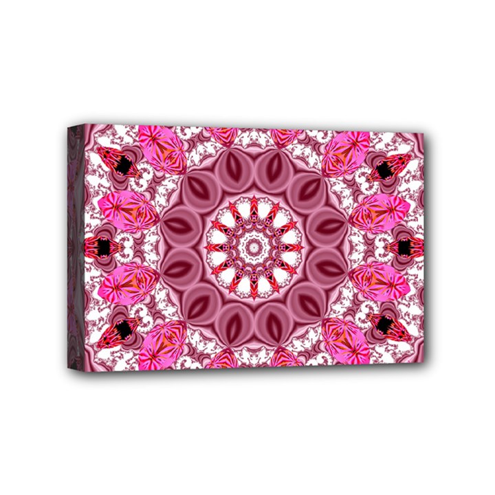 Twirling Pink, Abstract Candy Lace Jewels Mandala  Mini Canvas 6  x 4  (Framed)