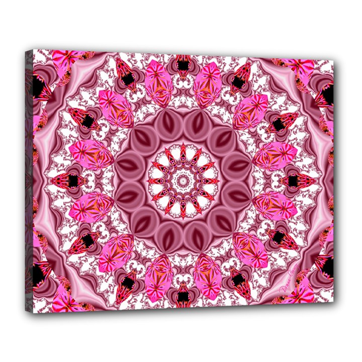 Twirling Pink, Abstract Candy Lace Jewels Mandala  Canvas 20  x 16  (Framed)