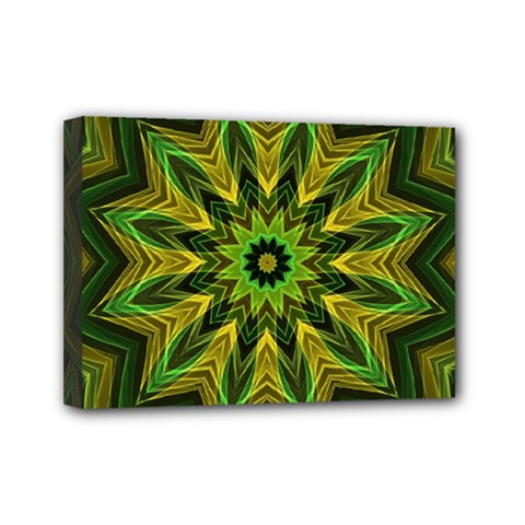 Woven Jungle Leaves Mandala Mini Canvas 7  X 5  (framed)