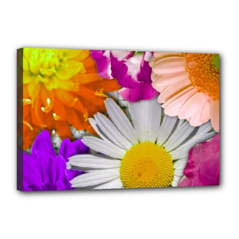 Lovely Flowers,purple Canvas 18  X 12  (framed) by ImpressiveMoments