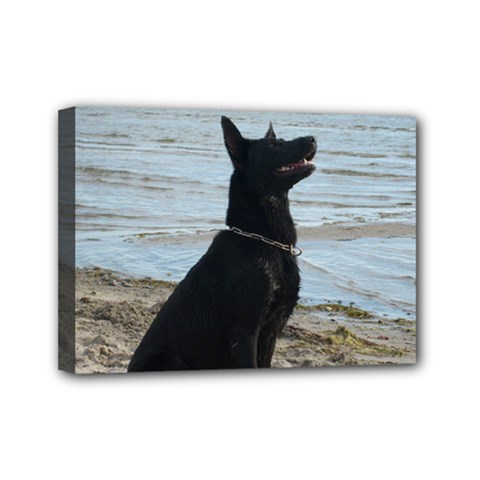 Black German Shepherd Mini Canvas 7  X 5  (framed) by StuffOrSomething