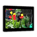 Black GSD Pup Deluxe Canvas 20  x 16  (Framed) View1