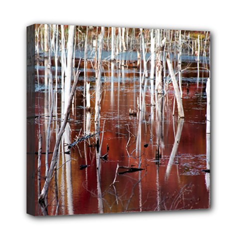 Swamp2 Filtered Mini Canvas 8  X 8  (framed) by cgar