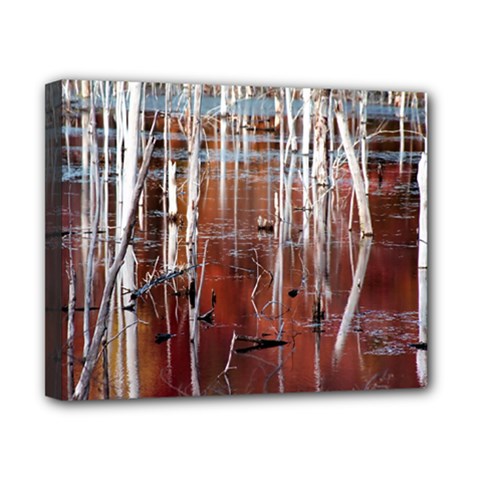 Swamp2 Filtered Canvas 10  X 8  (framed)