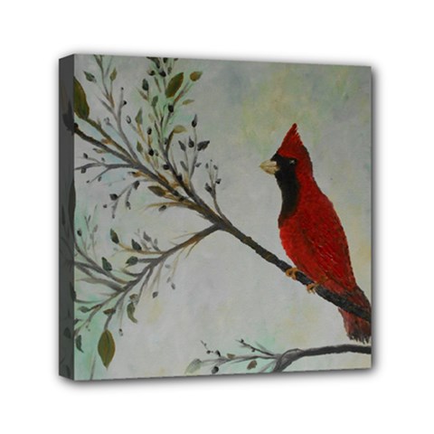 Sweet Red Cardinal Mini Canvas 6  X 6  (framed) by rokinronda