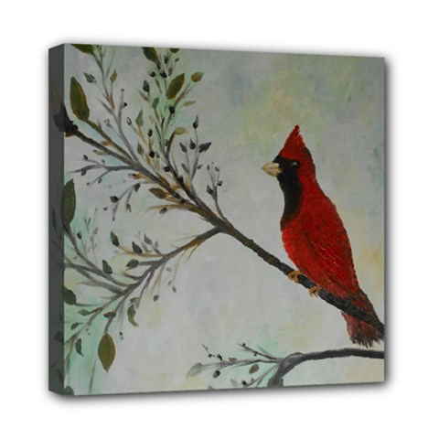 Sweet Red Cardinal Mini Canvas 8  X 8  (framed) by rokinronda