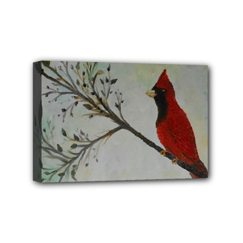 Sweet Red Cardinal Mini Canvas 6  X 4  (framed) by rokinronda