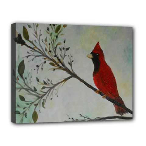 Sweet Red Cardinal Canvas 14  X 11  (framed) by rokinronda