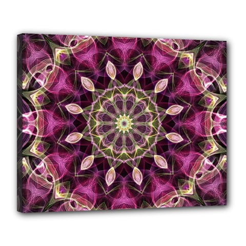 Purple Flower Canvas 20  X 16  (framed) by Zandiepants