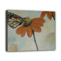 Monarch Canvas 10  x 8  (Framed) View1