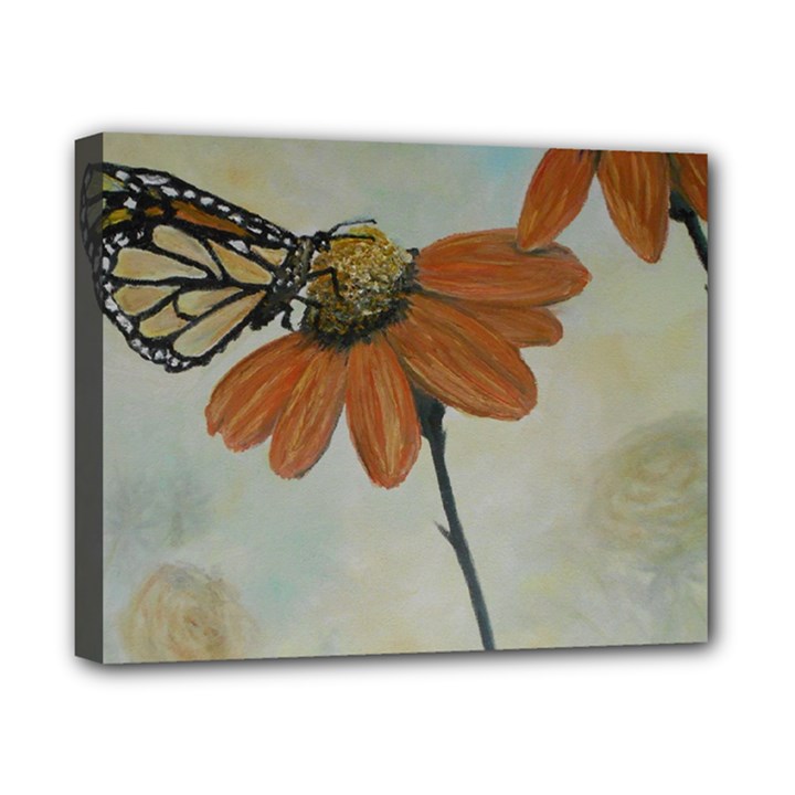 Monarch Canvas 10  x 8  (Framed)