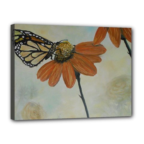 Monarch Canvas 16  X 12  (framed) by rokinronda