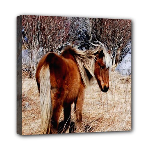 Pretty Pony Mini Canvas 8  X 8  (framed) by Rbrendes