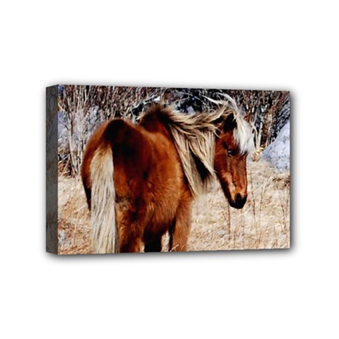 Pretty Pony Mini Canvas 6  X 4  (framed) by Rbrendes