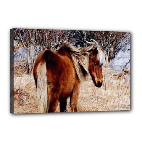 Pretty Pony Canvas 18  X 12  (framed) by Rbrendes