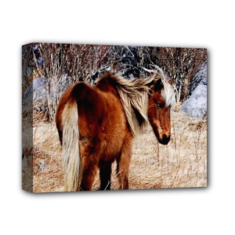 Pretty Pony Deluxe Canvas 14  X 11  (framed) by Rbrendes