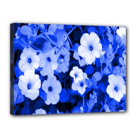 Blue Flowers Canvas 16  X 12  (framed)