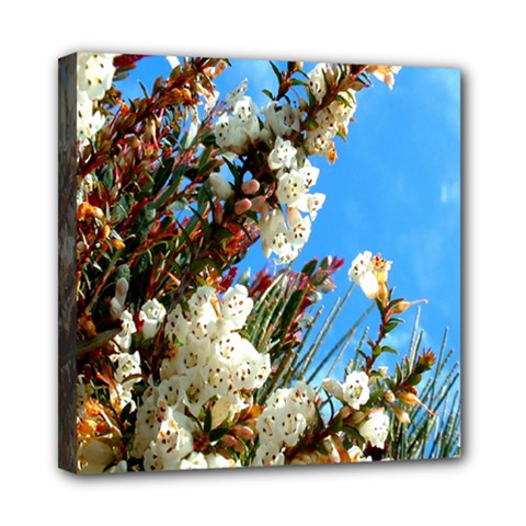 Australia Flowers Mini Canvas 8  X 8  (framed)