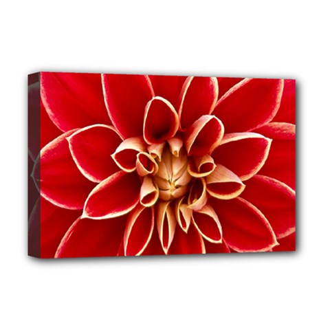 Red Dahila Deluxe Canvas 18  x 12  (Framed)