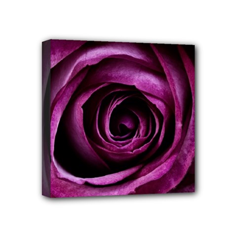 Deep Purple Rose Mini Canvas 4  X 4  (framed) by Colorfulart23