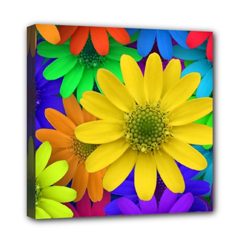 Gerbera Daisies Mini Canvas 8  X 8  (framed)