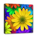 Gerbera Daisies Mini Canvas 8  x 8  (Framed) View1