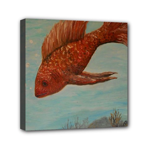 Gold Fish Mini Canvas 6  X 6  (framed) by rokinronda