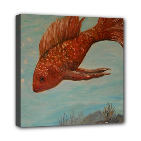 Gold Fish Mini Canvas 8  X 8  (framed)