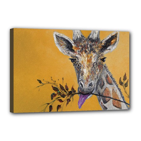 Giraffe Treat Canvas 18  X 12  (framed) by rokinronda