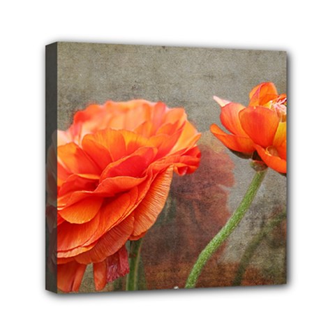 Orange Rose From Bud To Bloom Mini Canvas 6  X 6  (framed) by NaturesSol