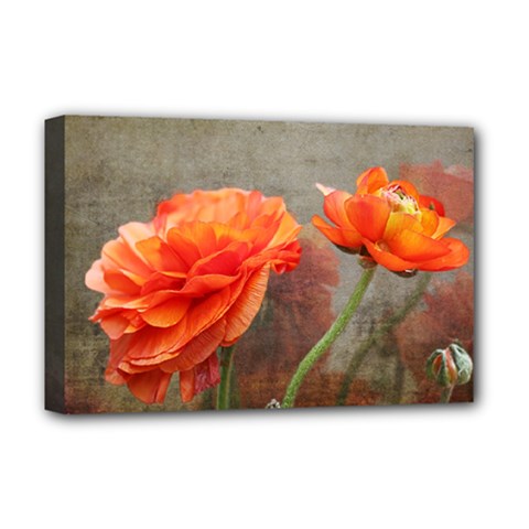 Orange Rose From Bud To Bloom Deluxe Canvas 18  X 12  (framed) by NaturesSol