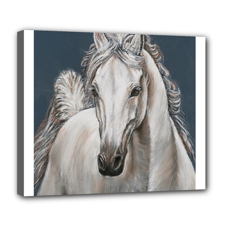 Breeze Deluxe Canvas 24  x 20  (Framed)