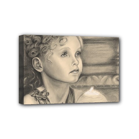 Light1 Mini Canvas 6  X 4  (framed) by TonyaButcher