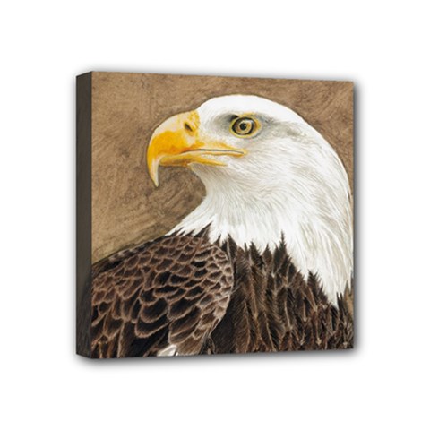 Eagle Mini Canvas 4  X 4  (framed)