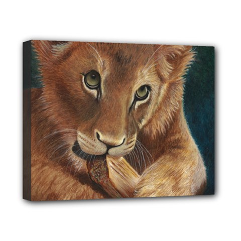 Playful  Canvas 10  X 8  (framed) by TonyaButcher