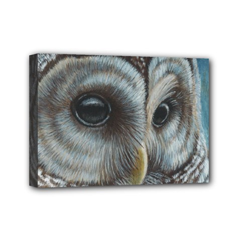 Barred Owl Mini Canvas 7  X 5  (framed) by TonyaButcher