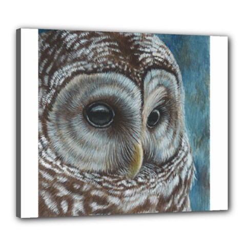 Barred Owl Canvas 24  X 20  (framed) by TonyaButcher