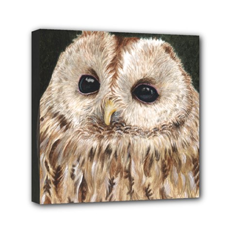 Tawny Owl Mini Canvas 6  X 6  (framed) by TonyaButcher