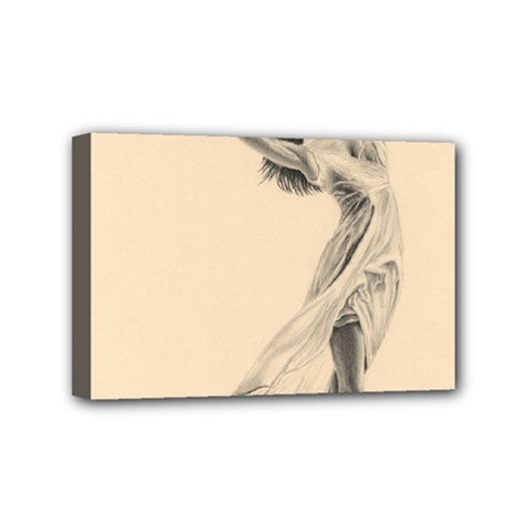 Graceful Dancer Mini Canvas 6  X 4  (framed) by TonyaButcher