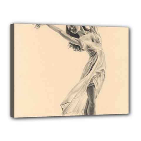 Graceful Dancer Canvas 16  X 12  (framed)