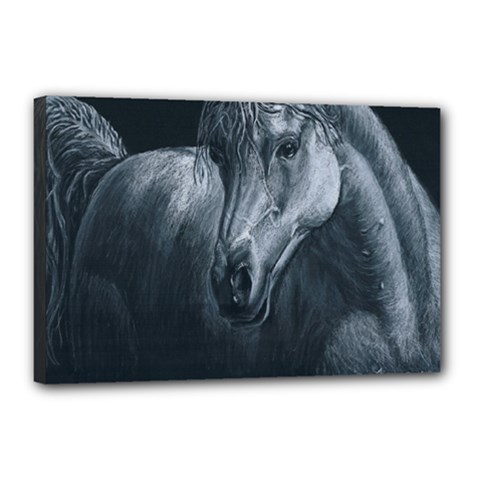 Equine Grace  Canvas 18  X 12  (framed)