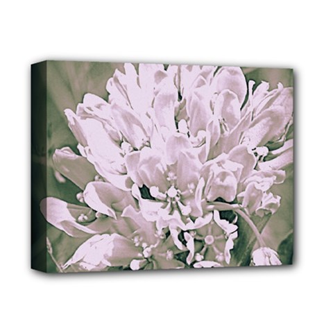 White Flower Deluxe Canvas 14  X 11  (framed)