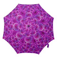 Purple Dahlias Hook Handle Umbrella (small) by FunWithFibro