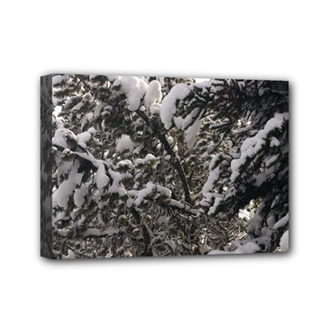 Snowy Trees Mini Canvas 7  X 5  (framed) by DmitrysTravels