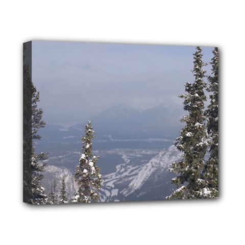 Trees Canvas 10  X 8  (framed) by DmitrysTravels