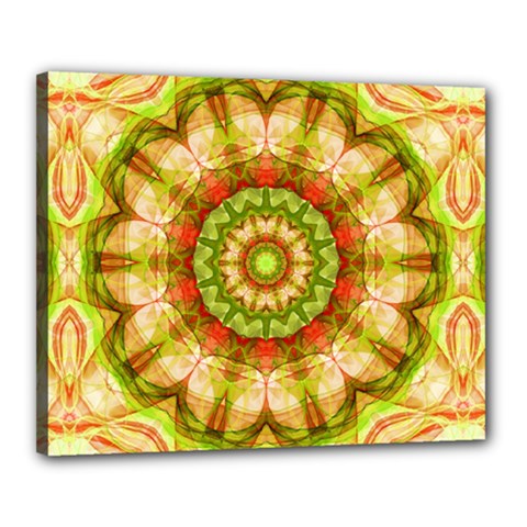 Red Green Apples Mandala Canvas 20  X 16  (framed)