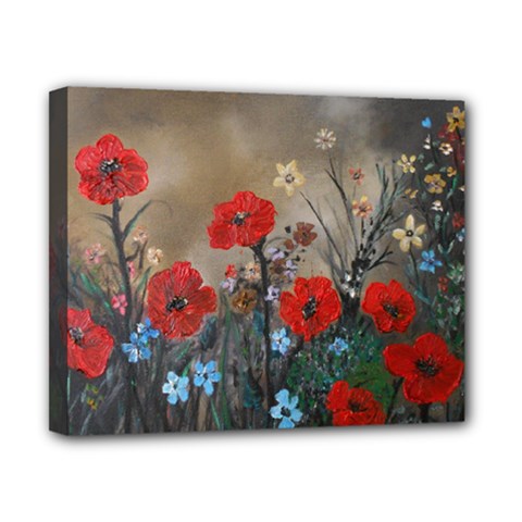 Poppy Garden Canvas 10  X 8  (framed) by rokinronda