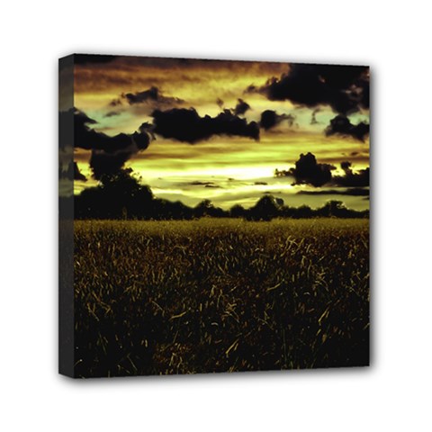 Dark Meadow Landscape  Mini Canvas 6  X 6  (framed) by dflcprints