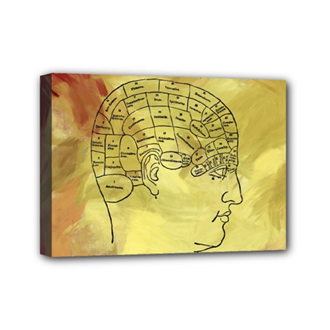 Brain Map Mini Canvas 7  X 5  (framed) by StuffOrSomething